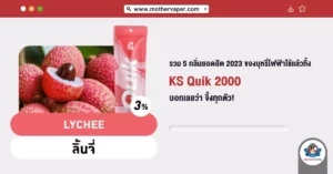 รวม 5 กลิ่นยอดฮิต 2023 ของบุหรี่ไฟฟ้าใช้แล้วทิ้ง KS Quik 2000 บอกเลยว่าจึ้งทุกตัว!