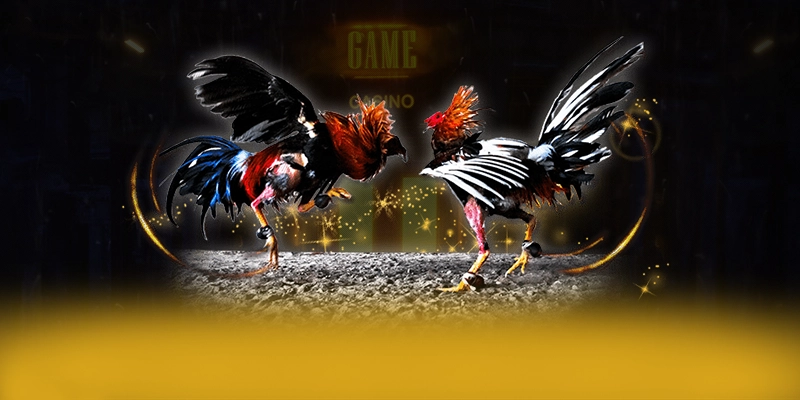 N88 - Sảnh game có độ an toàn vượt trội hiện nay – Tìm hiểu thêm về N88 N88 - Sảnh game có độ an toàn vượt trội hiện nay – Tìm hiểu thêm về N88