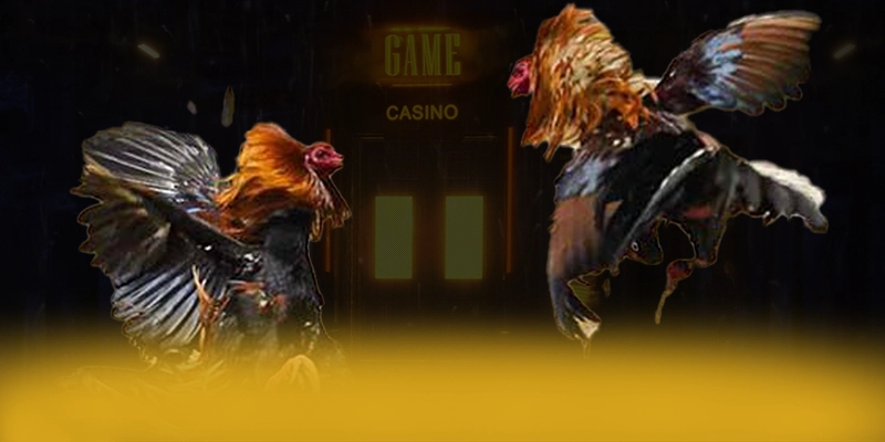 N88 - Nền tảng cá cược hào phóng trên thị trường – Điểm qua N88 N88 - Nền tảng cá cược hào phóng trên thị trường – Điểm qua N88