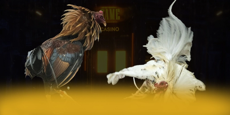 
Cùng trải nghiệm 789WIN - Sảnh game uy tín hiện nay
