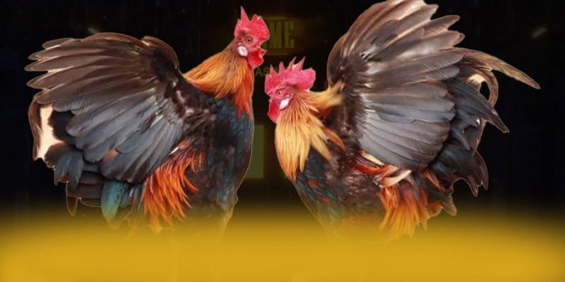 VWIN - Sân chơi với phần thưởng siêu lớn được người chơi tin tưởng – Cập nhật event và quà tặng tại VWIN VWIN - Sân chơi với phần thưởng siêu lớn được người chơi tin tưởng – Cập nhật event và quà tặng tại VWIN