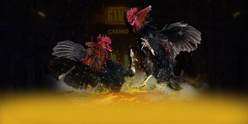 KUWIN – Cổng giải trí hàng đầu Việt Nam, được người chơi yêu thích.