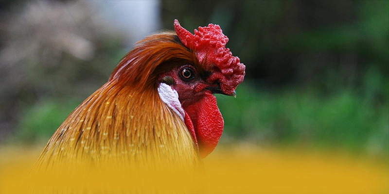 tài xỉu online - Cổng giải trí được cộng đồng tin tưởng hiện nay – Cùng tìm hiểu tài xỉu online