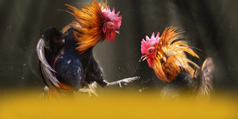 tài xỉu online – Cổng giải trí đáng chơi nhất, được người chơi yêu thích.