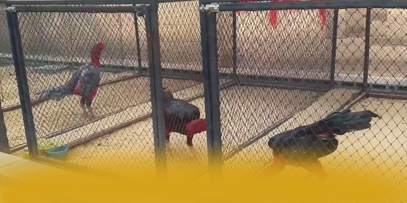 789WIN – Sảnh game hàng đầu Việt Nam, được cộng đồng game thủ tin tưởng.