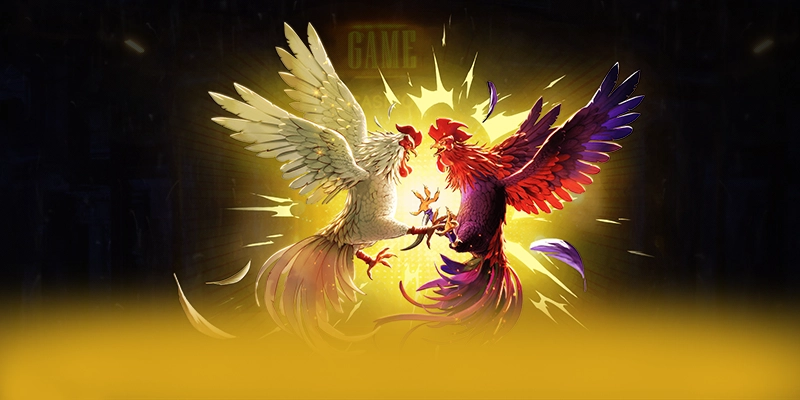 WIN79 - Nhận định cuối cùng với góc nhìn khách quan. WIN79 - Nhận định cuối cùng với góc nhìn khách quan.